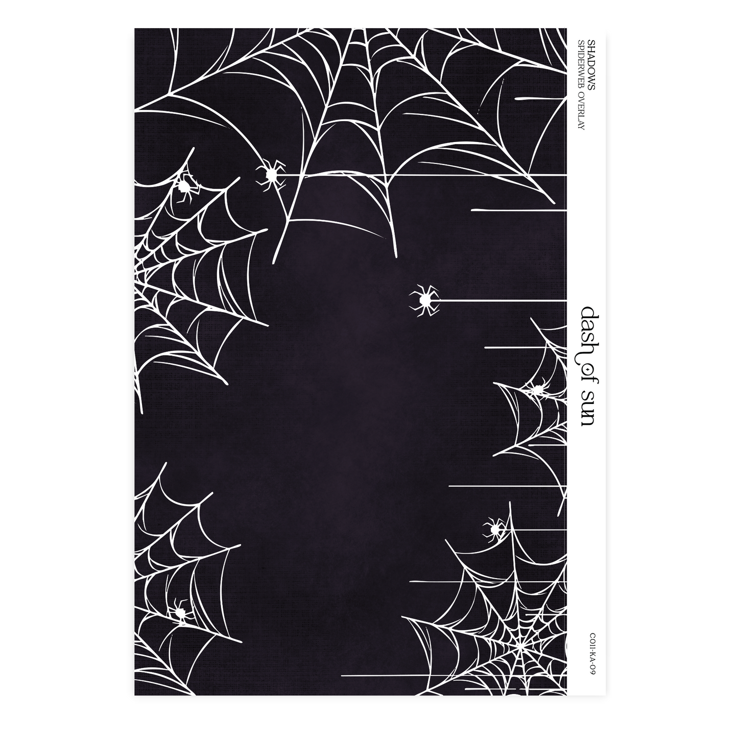Shadows |  Spiderweb Overlay